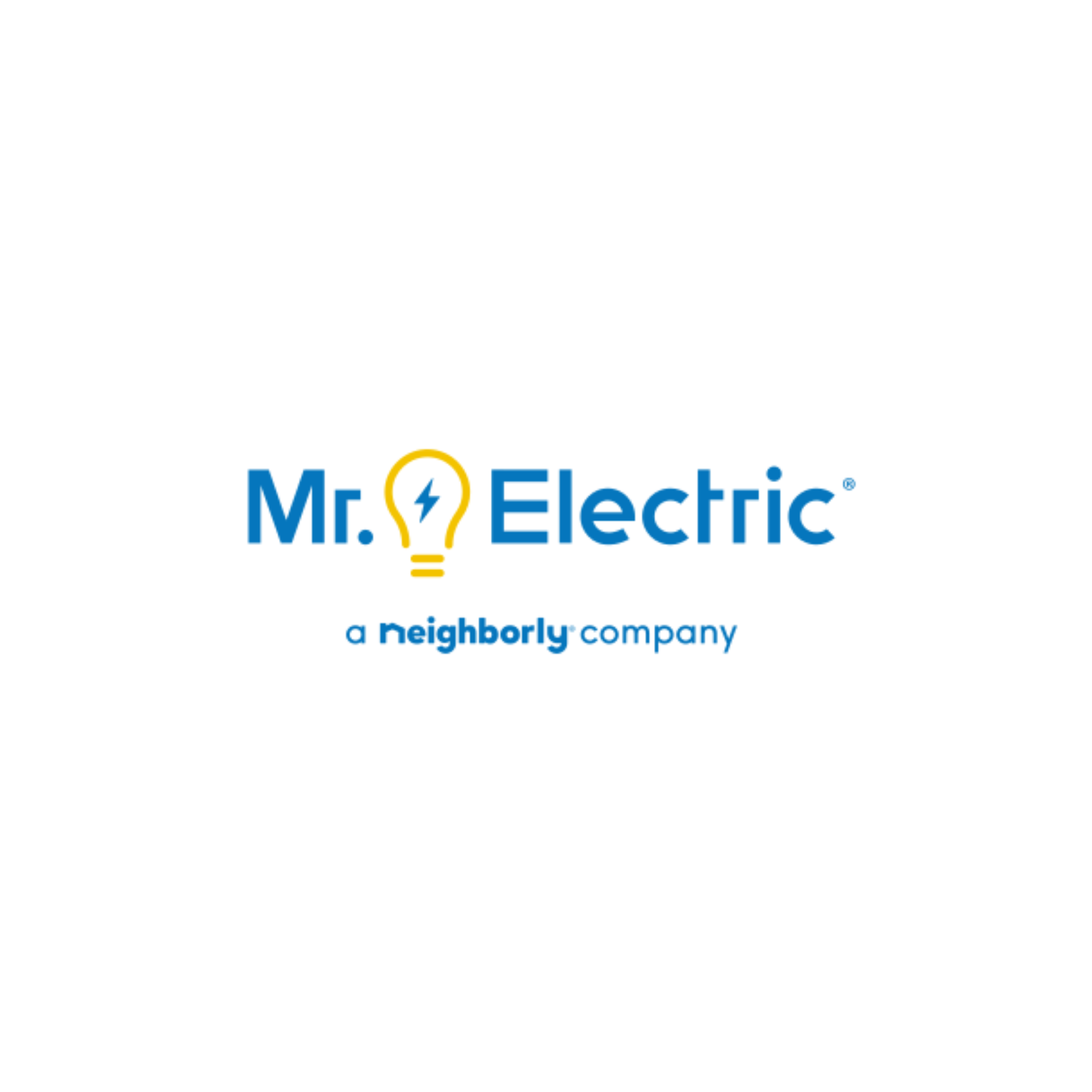 Mr. Electric